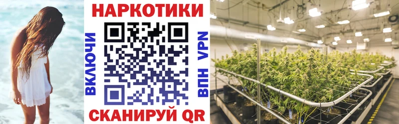 Наркотические вещества Подольск СК Мефедрон Галлюциногенные грибы Гашиш